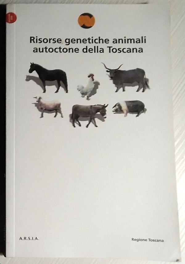 Noi che ci vogliamo cos� bene di 