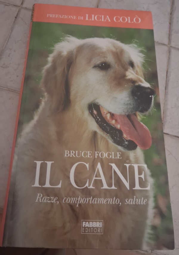 Map Point guida ai trasporti laziali di 