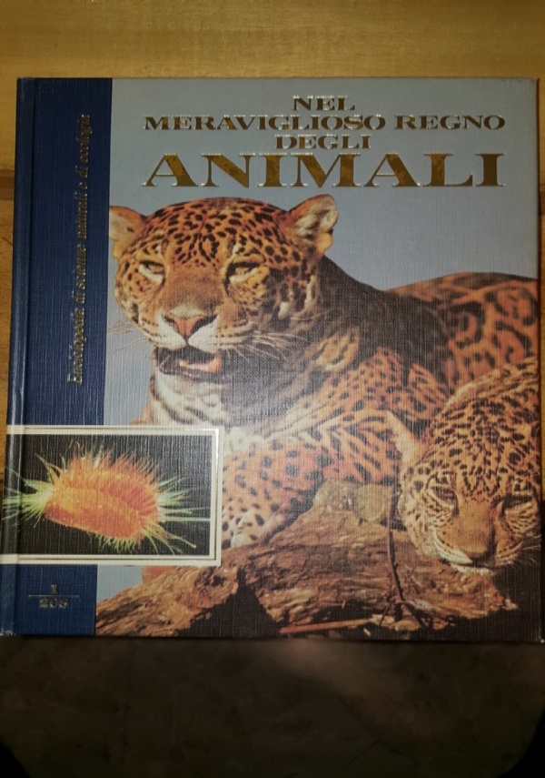 Vocabolario illustrato della lingua italiana di 