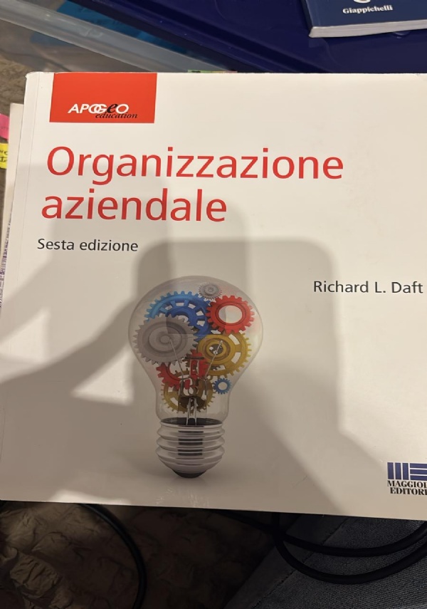 Organizzazione aziendale di 