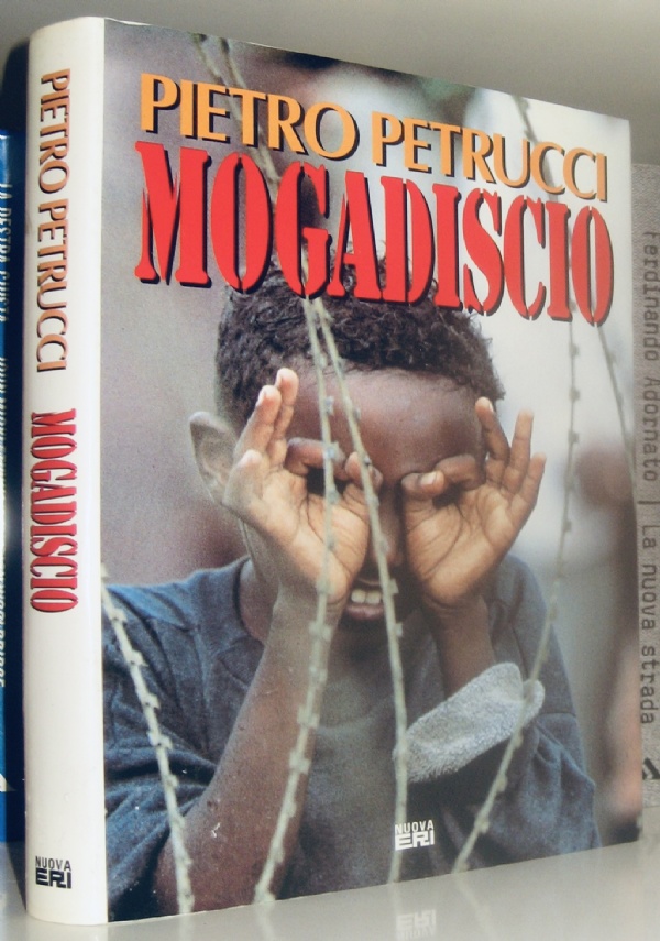 Il paese sbagliato - Diario di un&rsquo;esperienza didattica di 