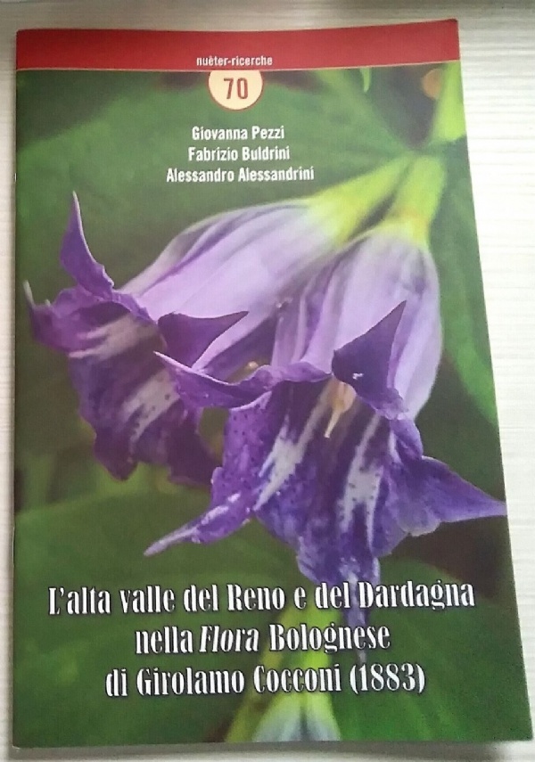 vita allegra di un genio sventurato di 