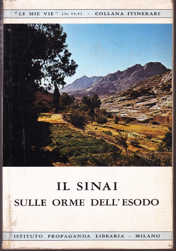 Perch� mi piacciono le azalee. La postina di Dachau di 