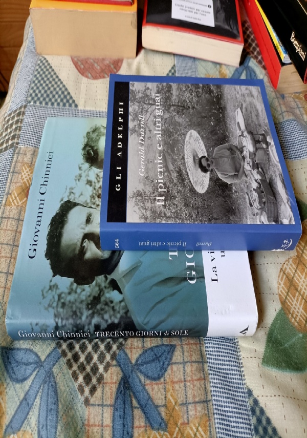 TRECENTO GIORNI DI SOLE LA VITA DI MIO PADRE ROCCO, UN GIUDICE SCOMODO di GIOVANNI CHINNICI
