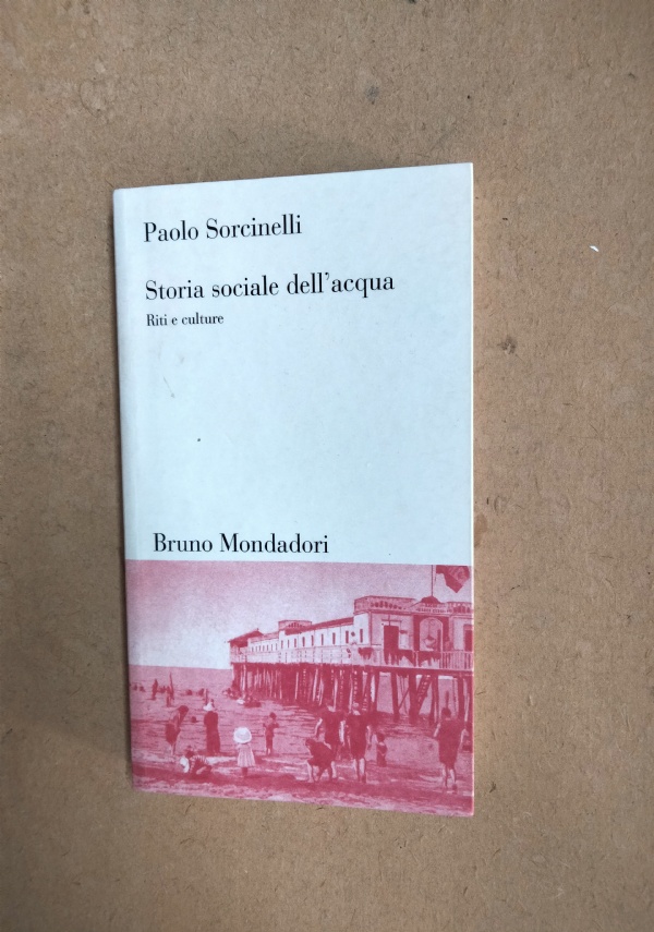 VITE BREVI DI IDIOTI di 