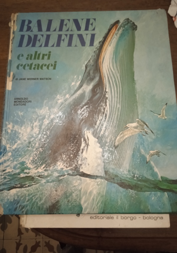 Il mondo degli animali di 
