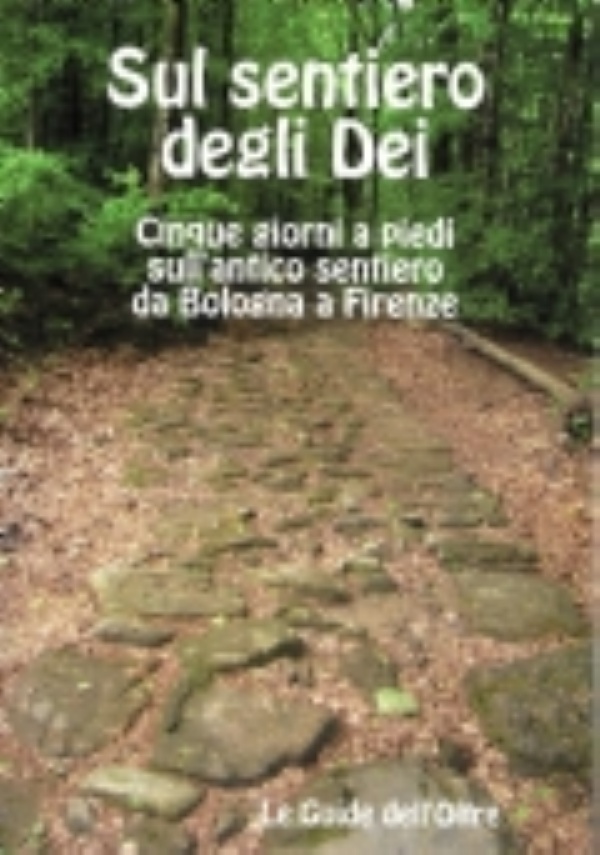 La via Francigena e altre strade della Toscana medievale di 