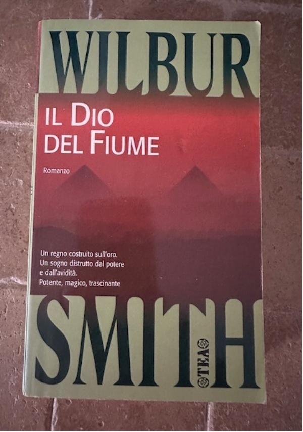 Il vecchio che leggeva romanzi d&rsquo;amore di 
