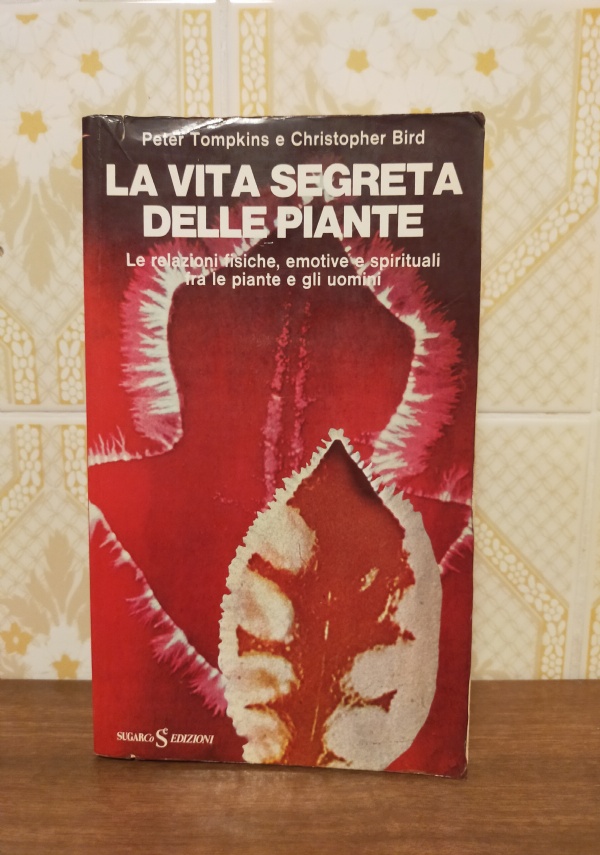 IL CHITARRISTA CLASSICO CONTEMPORANEO di 