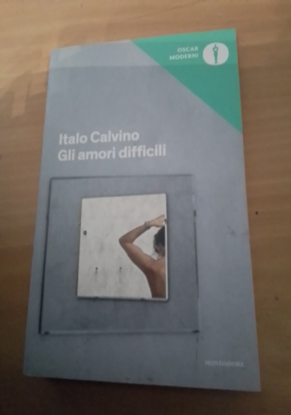 Se una notte d&rsquo;inverno un viaggiatore di 