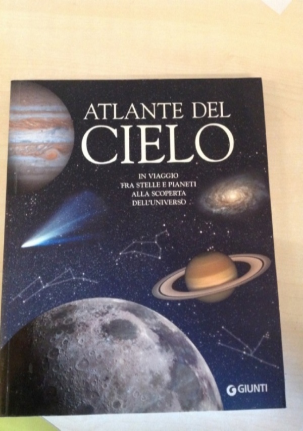 DIARIO DI UNA VERA STRONZA di 