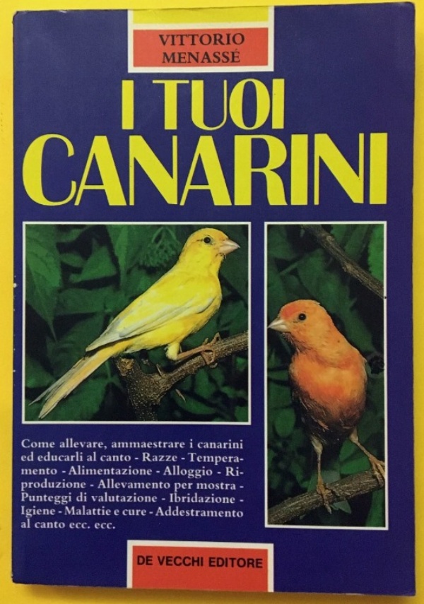  di 