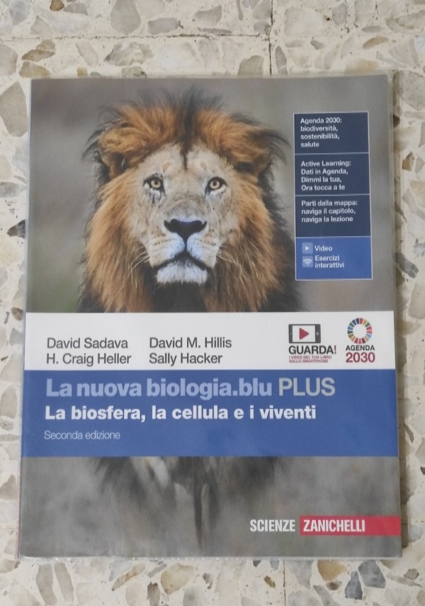 Itinerario nell&rsquo; arte di 