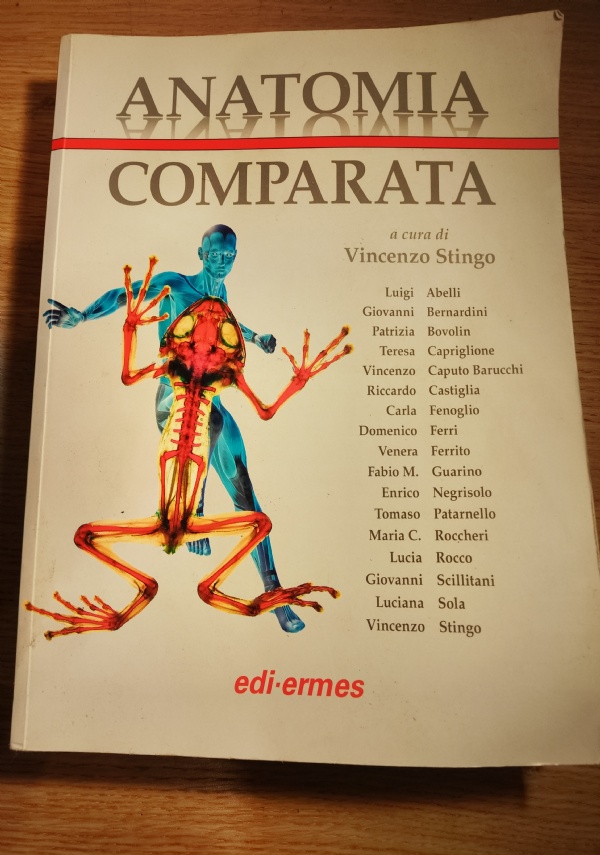 La boutique del mistero di 