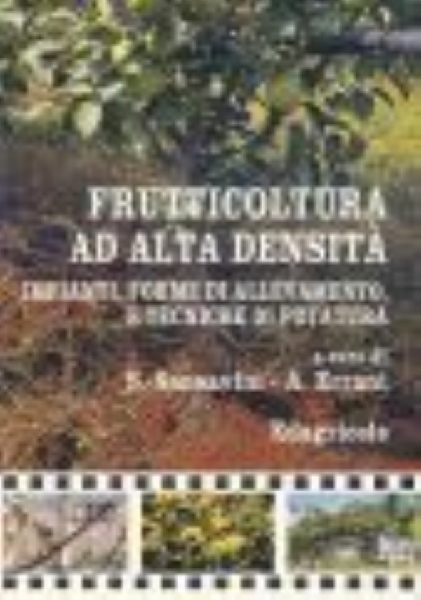 STORIA DEL PARTITO COMUNISTA ITALIANO di 
