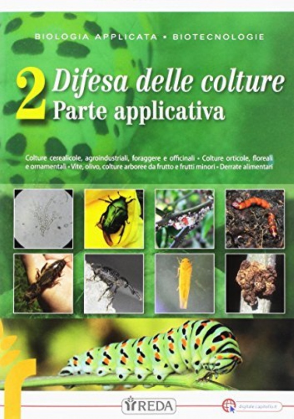 Meccanica e meccanizzazione  dei processi produttivi di 