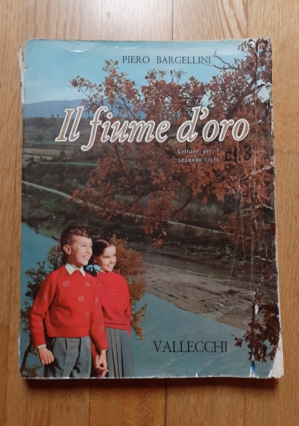Steyl 1875-1975, Missionari Verbiti di 