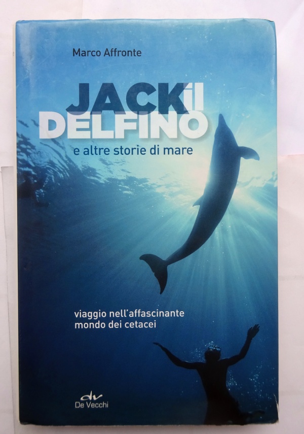 Guida al gatto comune di 