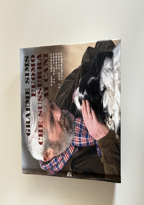 Il cane in citt� di 