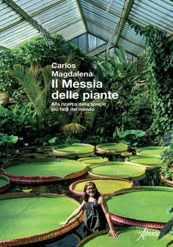 La sorellina di 