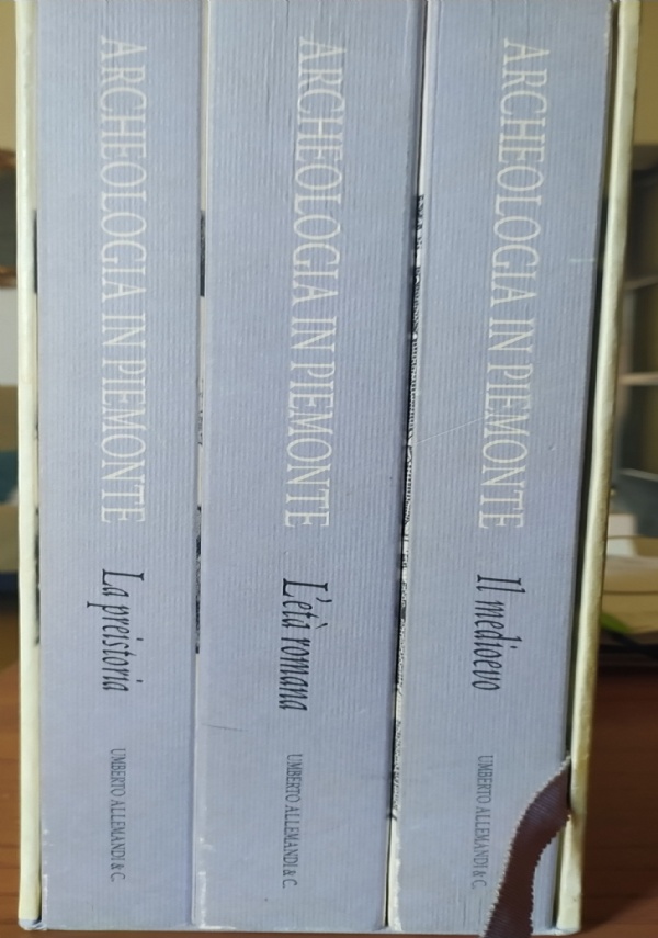Conservazione e manutenzione di manufatti edilizi ridotti allo stato di rudere - Report 1/1989 di 