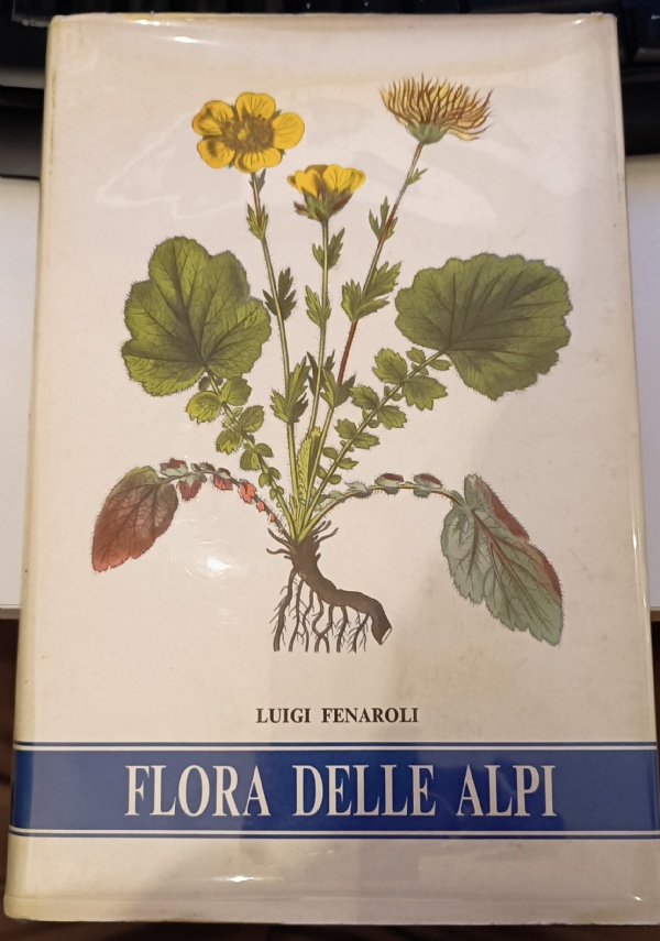 CRONICHE EPAFANICHE di 