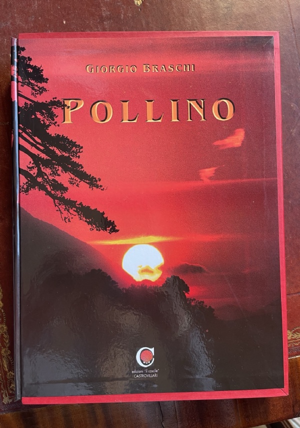 Orazio Carmina � Ed. Ciranna � a cura di F. Incatasciato � Latino con note � Vintage di 