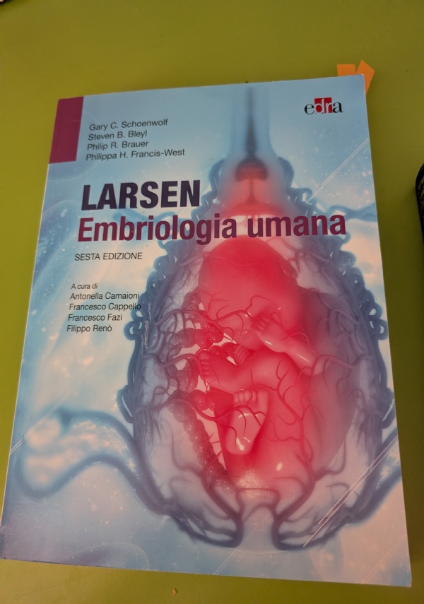 anatomia e fisiologia Patton di 