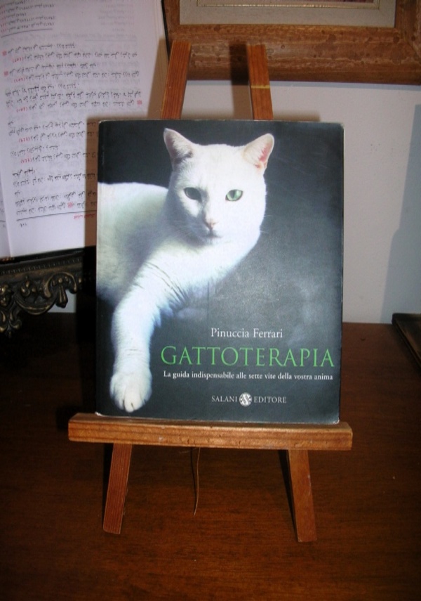111 grunde katzen zu lieben di 