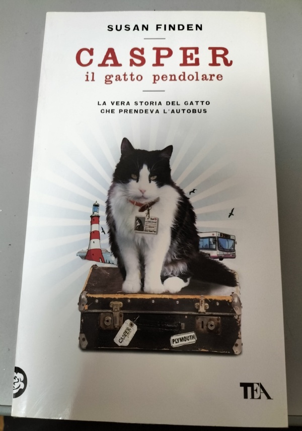 La piuma del Martin Pescatore di 