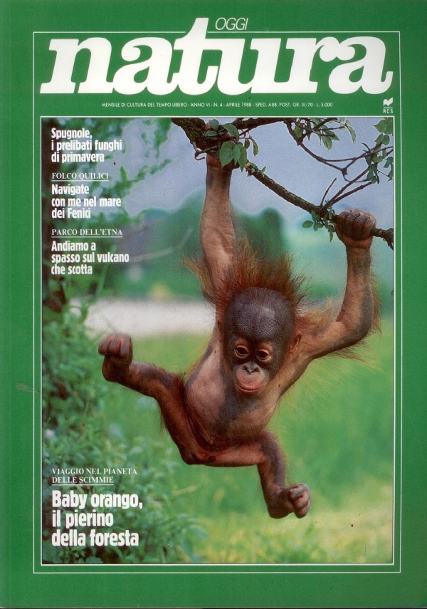 Natura Oggi n. 1 - gennaio 1988 di 