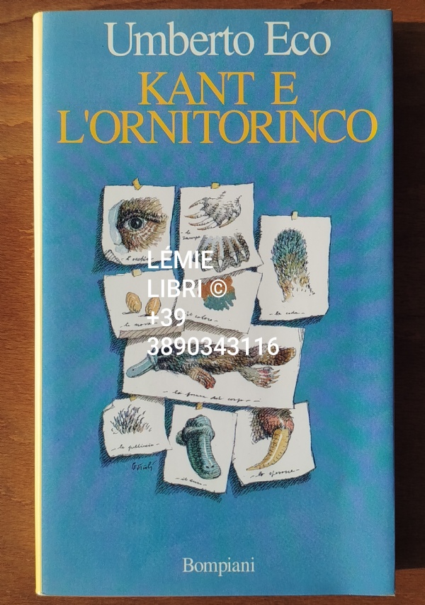 Luca Moscariello sotto i cardi di 