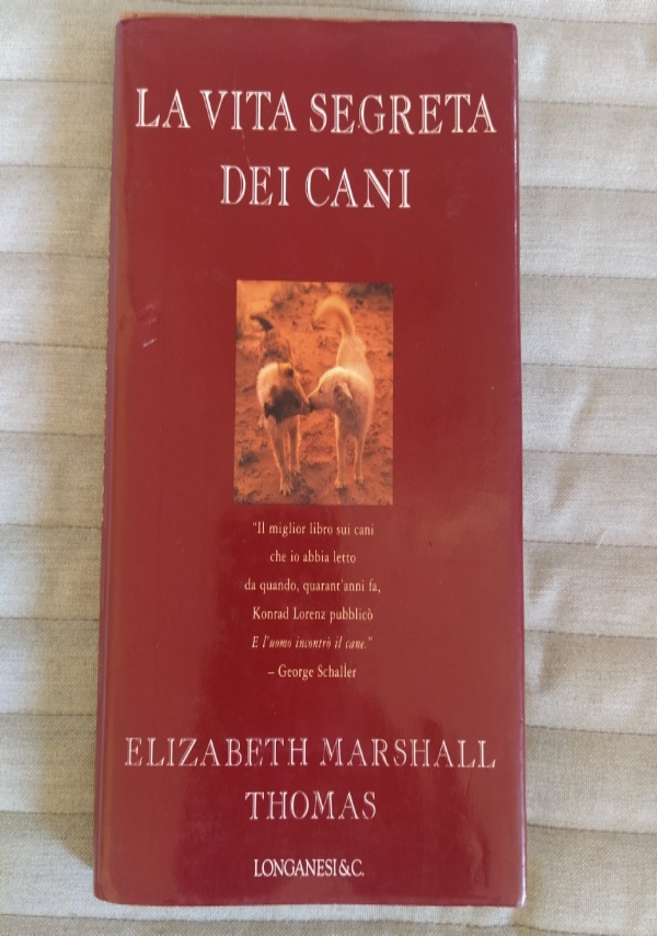 Immagini di speranza di 