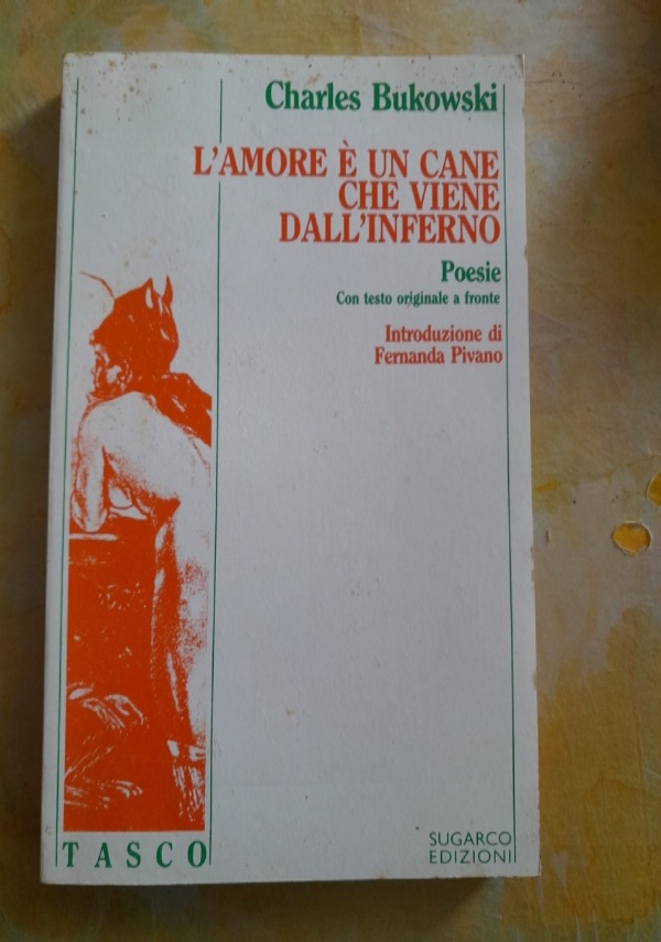 L�universit� del medioevo - Il magnifico rettore ed il munifico dittatore di 