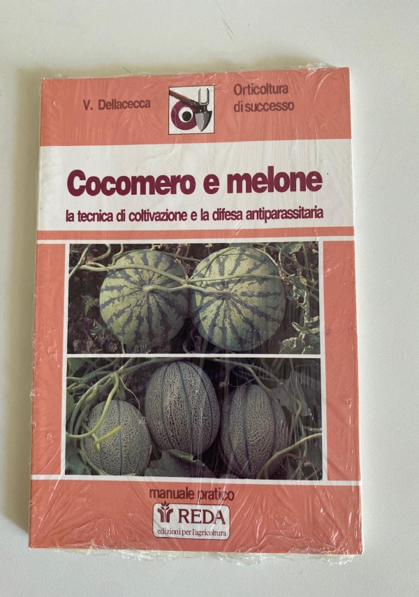 IL RE DEI COCOMERI.htm di 