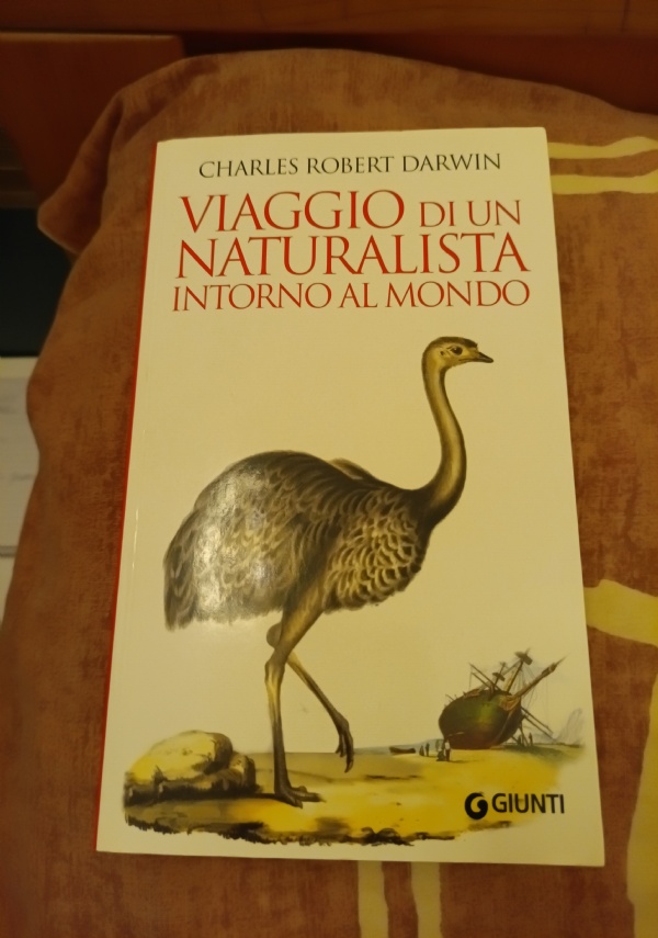 I grandi iniziati di 