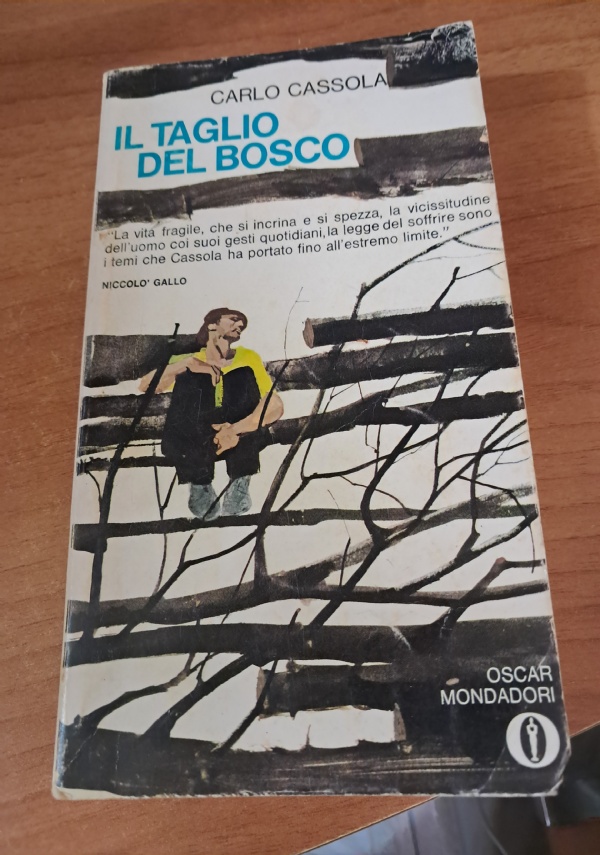 Il cacciatore di aquiloni di 