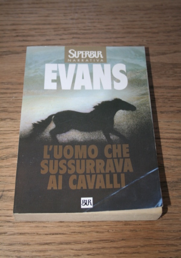 Harold Robbins Betsy Bur Rizzoli 1977 Passione Amore Avventura Prima Edizione di 