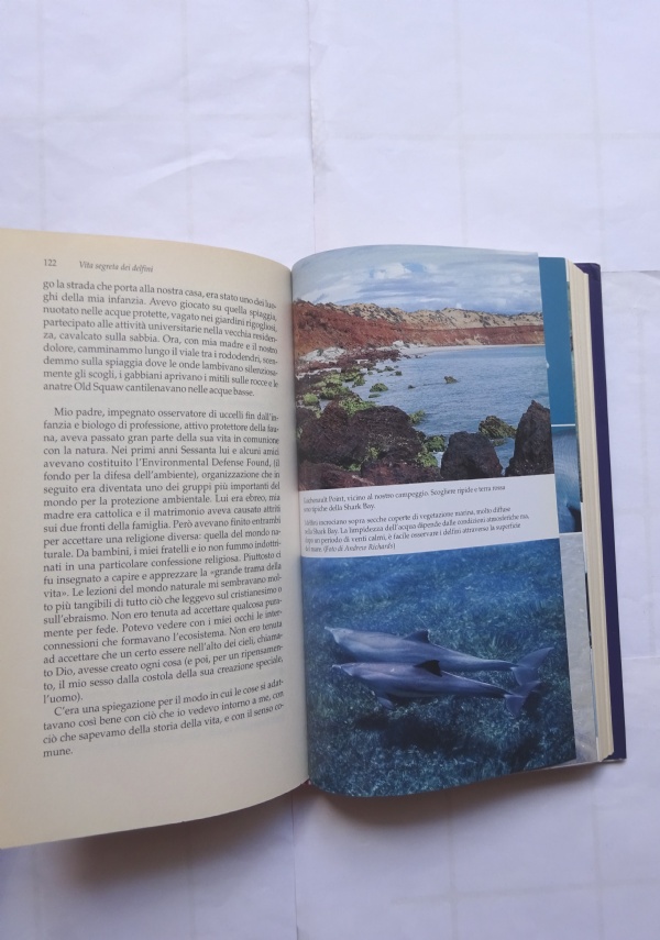Vita segreta dei delfini di Rachel Smolker