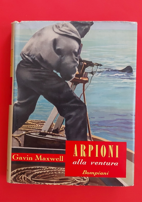 50 anni nell&rsquo;Artide di 