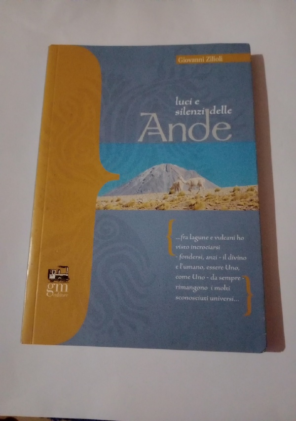 IL VANGELO DEL GIUBILEO Raccontato da Luca missionario itinerante di 