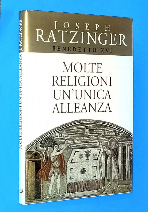 VI HO CHIAMATO AMICI - La compagnia nel cammino della fede di 