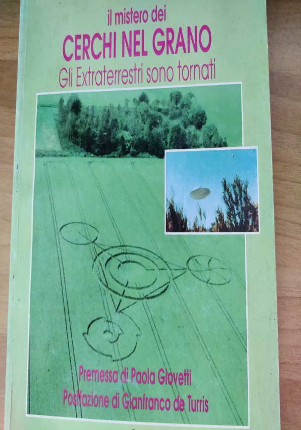 IL MISTERO DEI CERCHI NEL GRANO - GLI EXTRATERRESTRI SONO TORNATI di MICHAEL HESEMANN