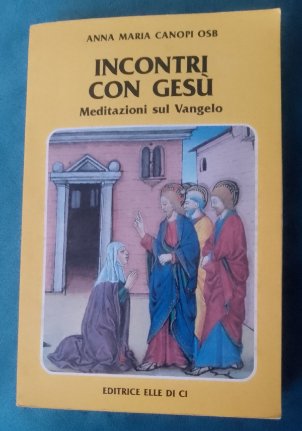 Mi limitavo ad amare te di 