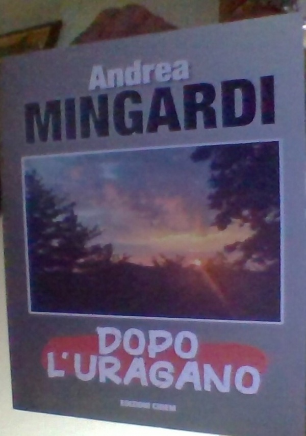 DOPO L&rsquo;URAGANO di ANDREA MINGARDI