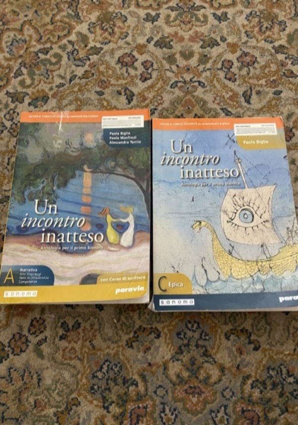 Un incontro inatteso A narrativa di 