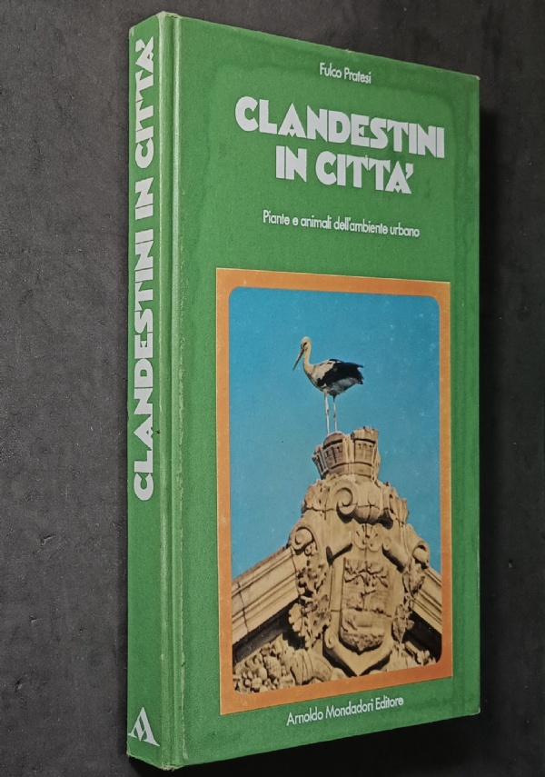 Questo pianeta - Laura Conti - 1� edizione Tendenze Editori Riuniti 1983 di 