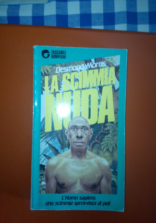 Controcultura/16 Andare in Africa di 