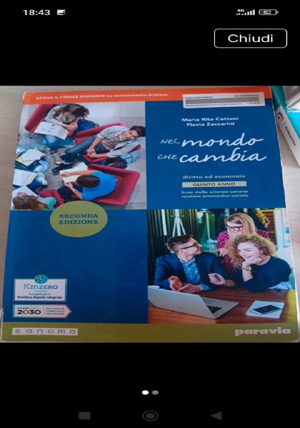 NEL MONDO CHE CAMBIA di CATTANI/ZACCARINI