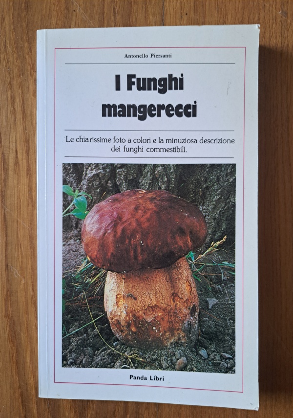 Amnesia di 
